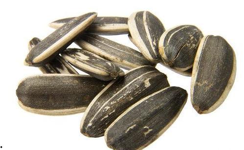 瓜子吃瓜头,揭秘瓜子的独特魅力与食用技巧 第3张 瓜子吃瓜头,揭秘瓜子的独特魅力与食用技巧 第3张